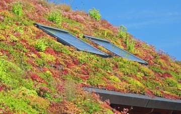 New Pitsligo living roof systems